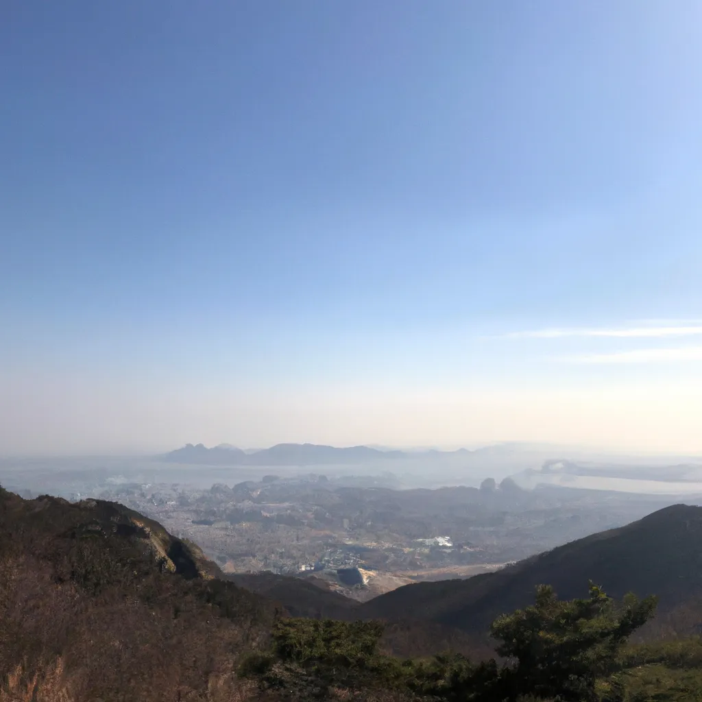 성폭력 피해자의 법적 보호와 개인정보 보호 정책
